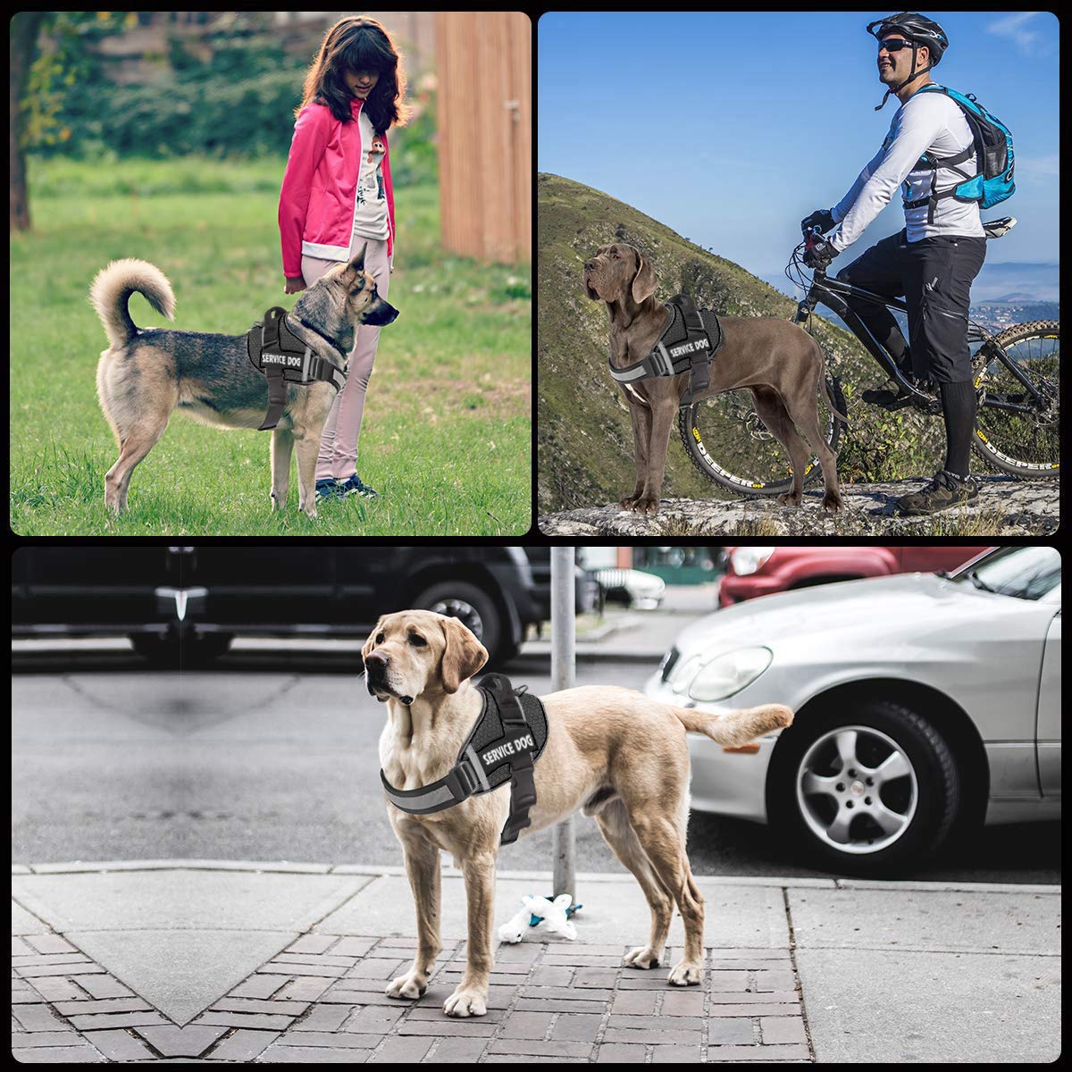 JSXD dog harness with 3M reflective straps for safer night visibility.