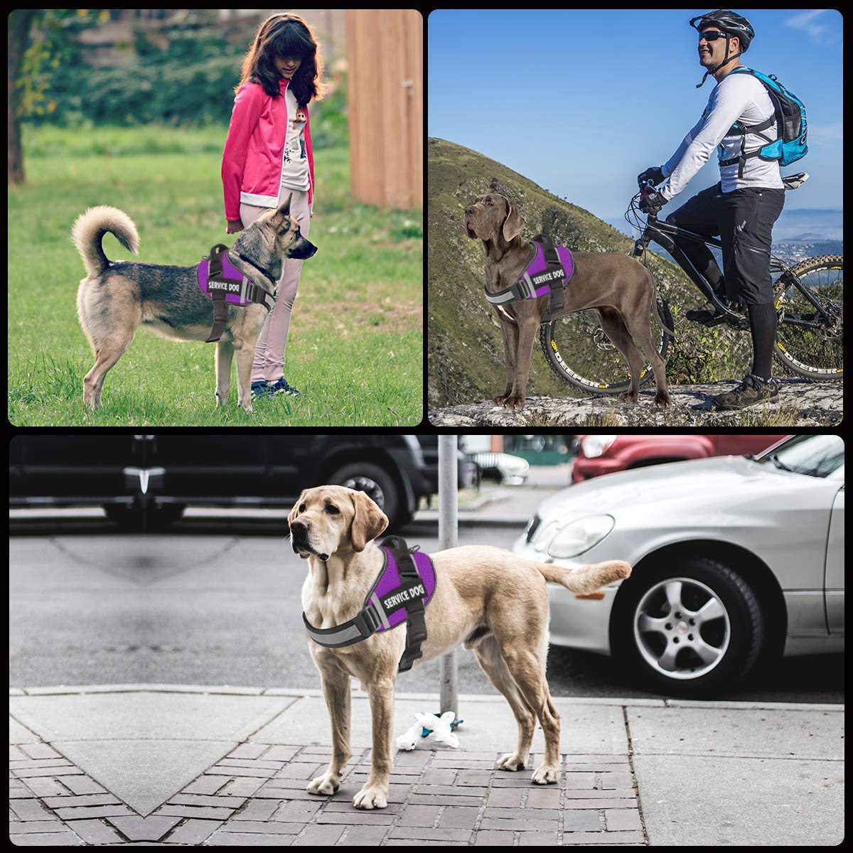 JSXD dog harness adjustable chest strap ensures a secure fit
