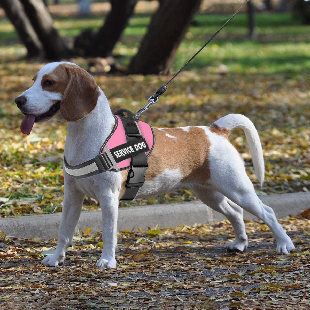 JSXD vest in action during outdoor walking demonstrates secure easy-on handling