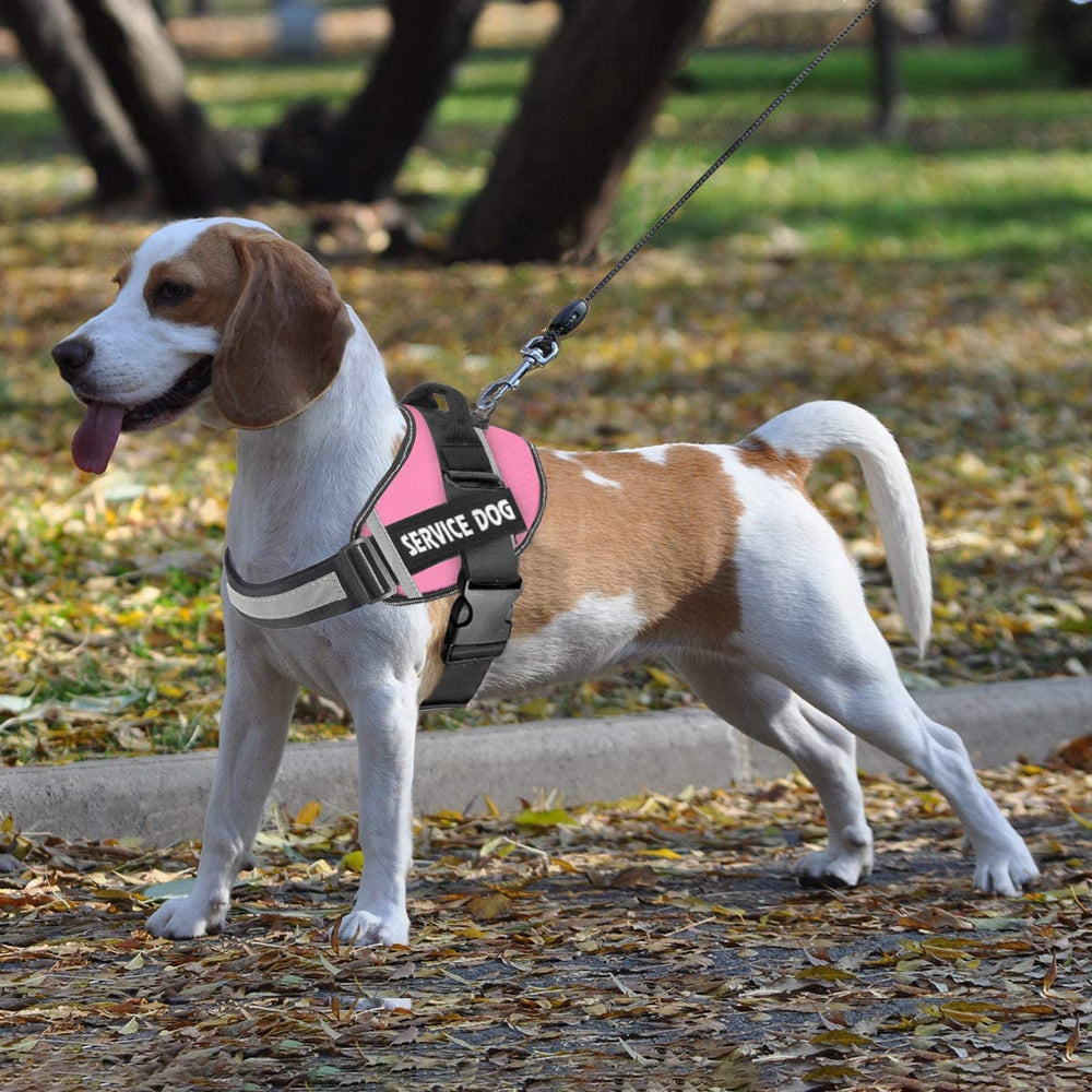 JSXD vest in action during outdoor walking demonstrates secure easy-on handling