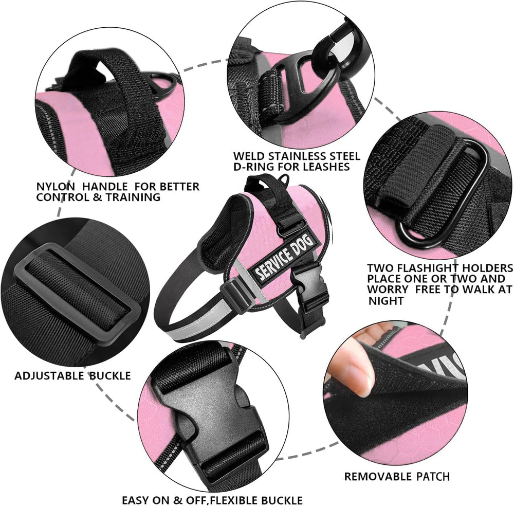 JSXD no-pull design on the harness helps reduce pulling during walks