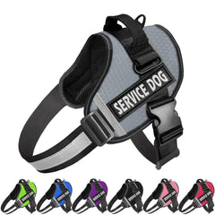 JSXD dog harness closeup with no-pull handle and padded comfort for gentle walking