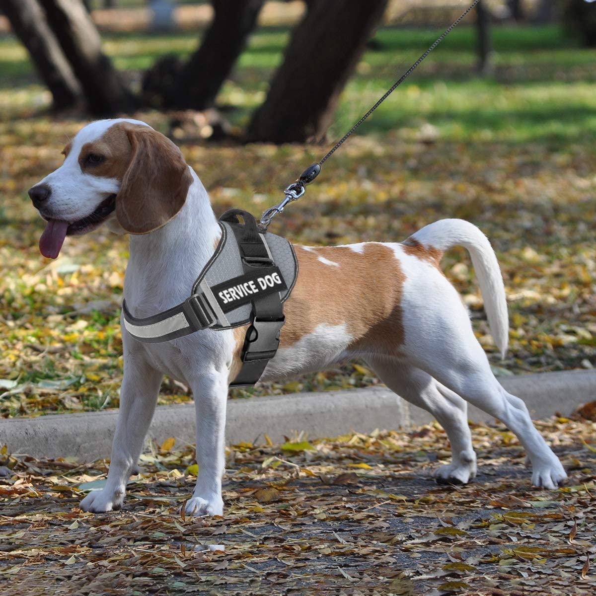 JSXD dog harness removable saddle bag buckle for light gear attachment