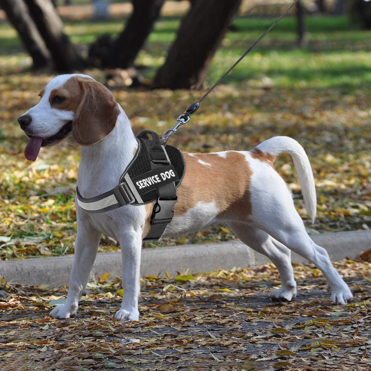JSXD dog harness size guide with XS-XXL options for nearly any breed