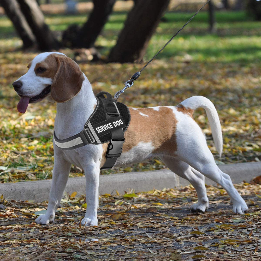 JSXD dog harness size guide with XS-XXL options for nearly any breed