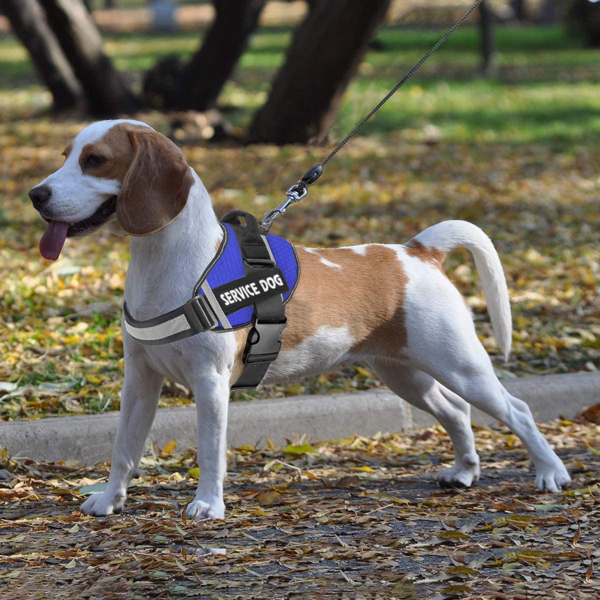 JSXD dog harness size-range-xs-to-xxl fits many breeds for versatile use