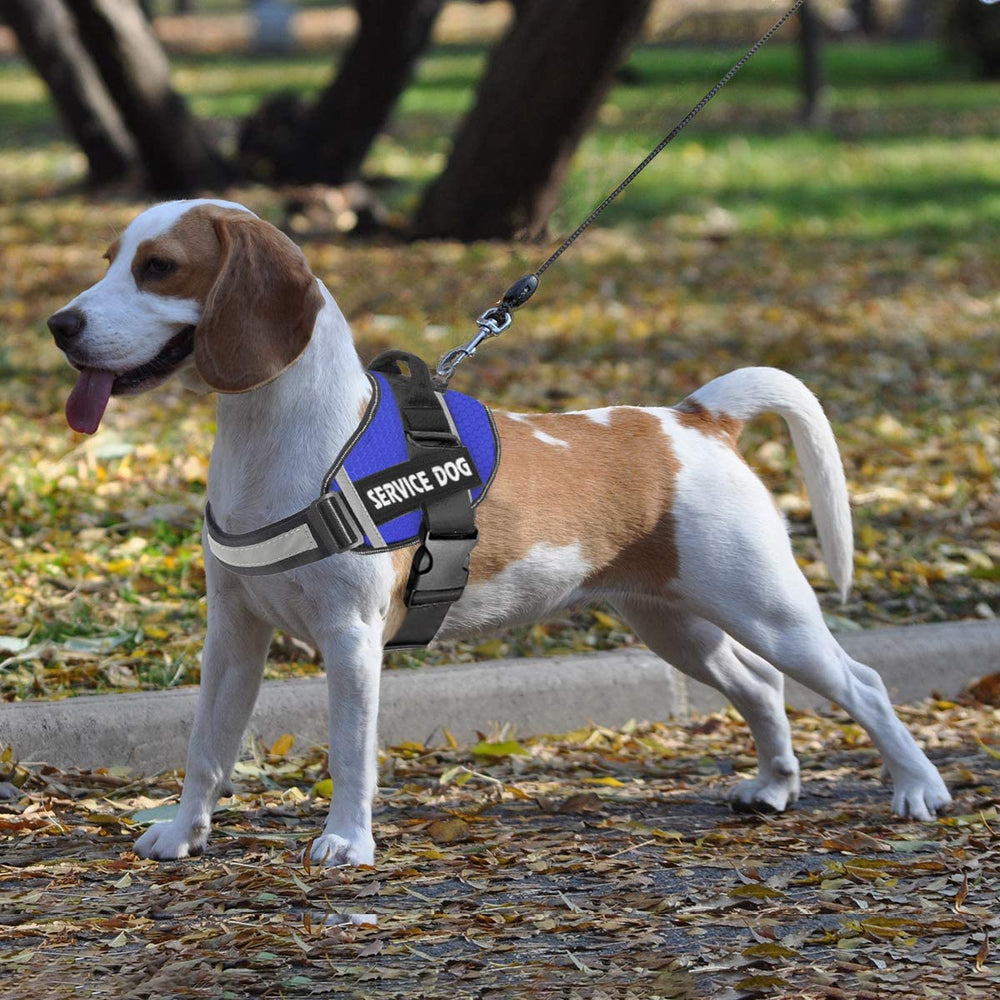 JSXD dog harness size-range-xs-to-xxl fits many breeds for versatile use