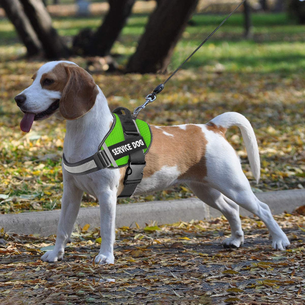 JSXD dog harness size range XS to XL supports multiple breeds