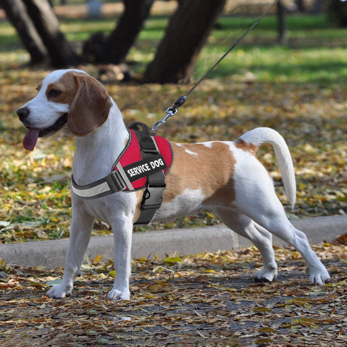 JSXD dog harness size range XS-XXL fits many breeds.