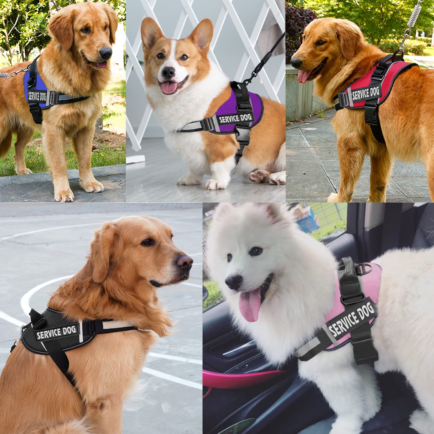 JSXD dog harness XS to XXL sizing covers small to large breeds