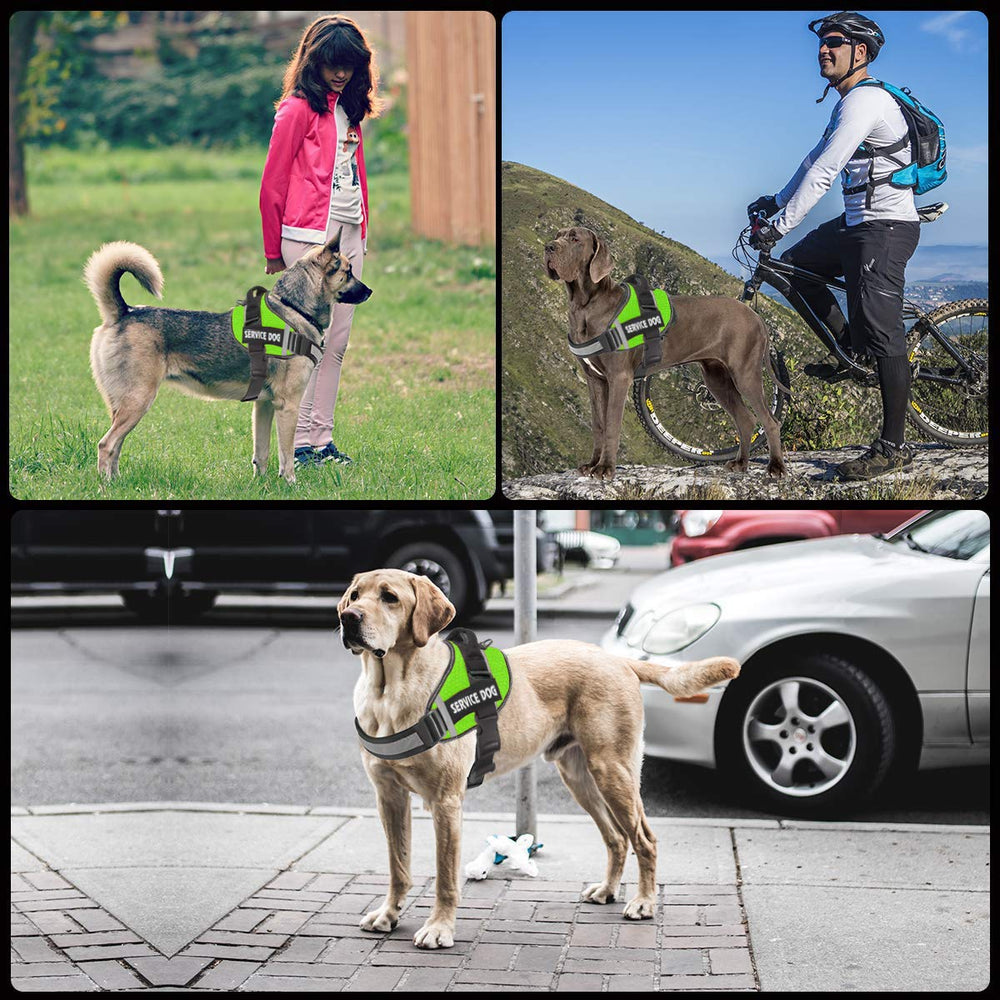 JSXD dog harness textured nylon surface highlighting durability and style