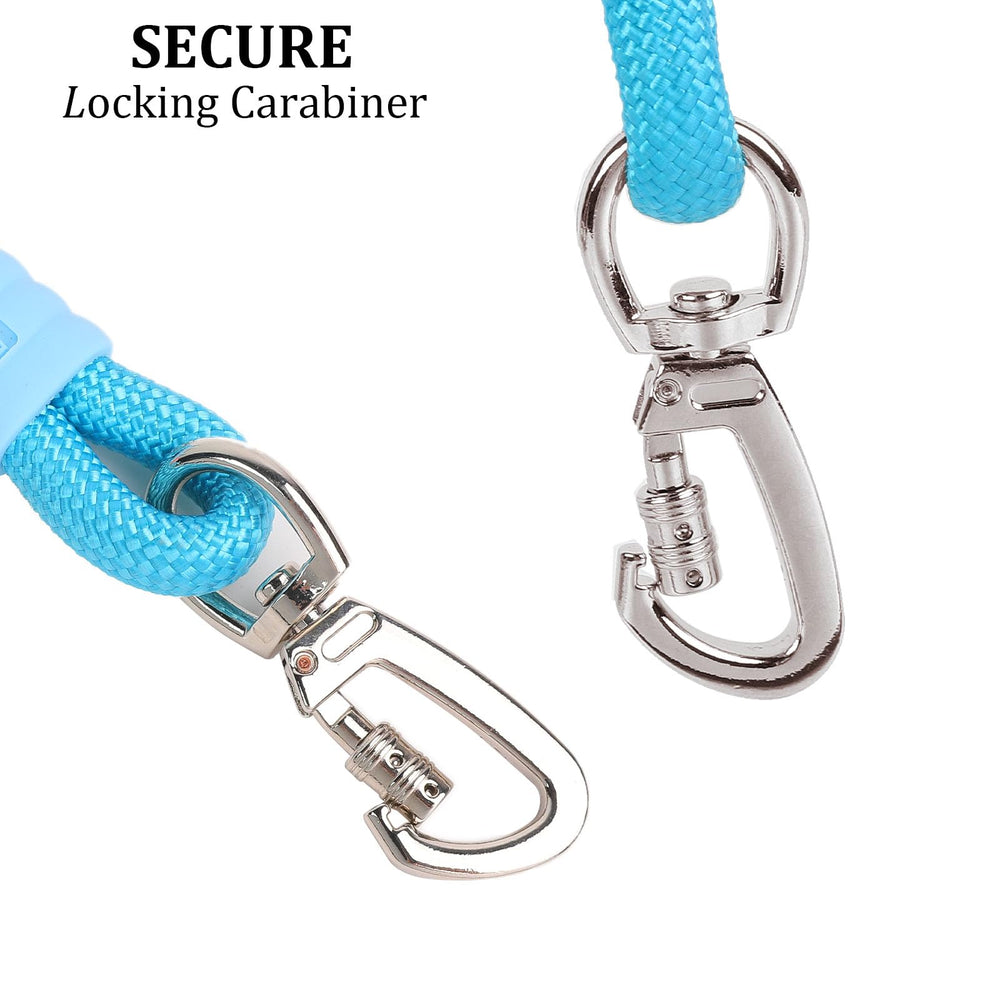 JSXD leash with locking mechanism and D-ring highlighting secure training during walks.