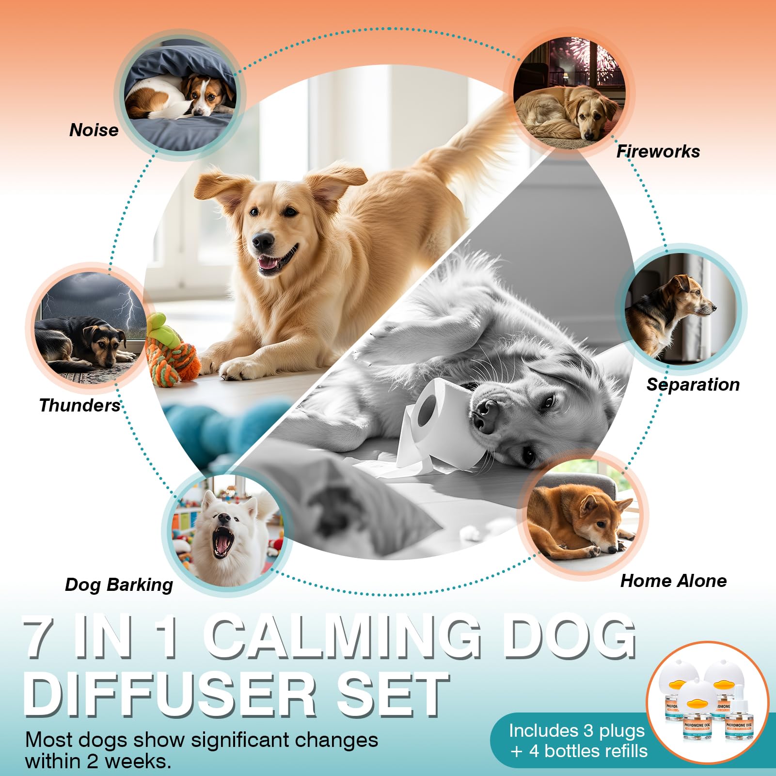 JTEWZX 7-in-1 advanced kit photo highlights versatile calm for dogs