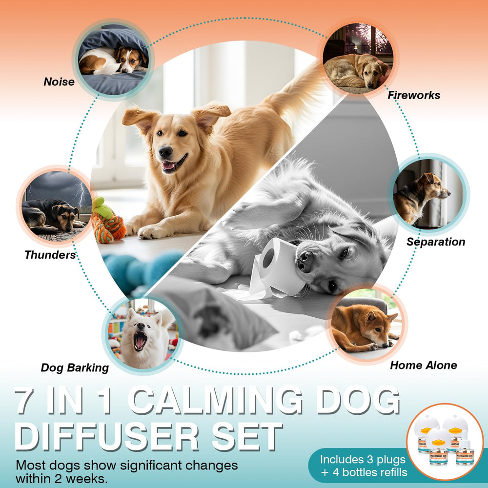 JTEWZX 7-in-1 advanced kit photo highlights versatile calm for dogs