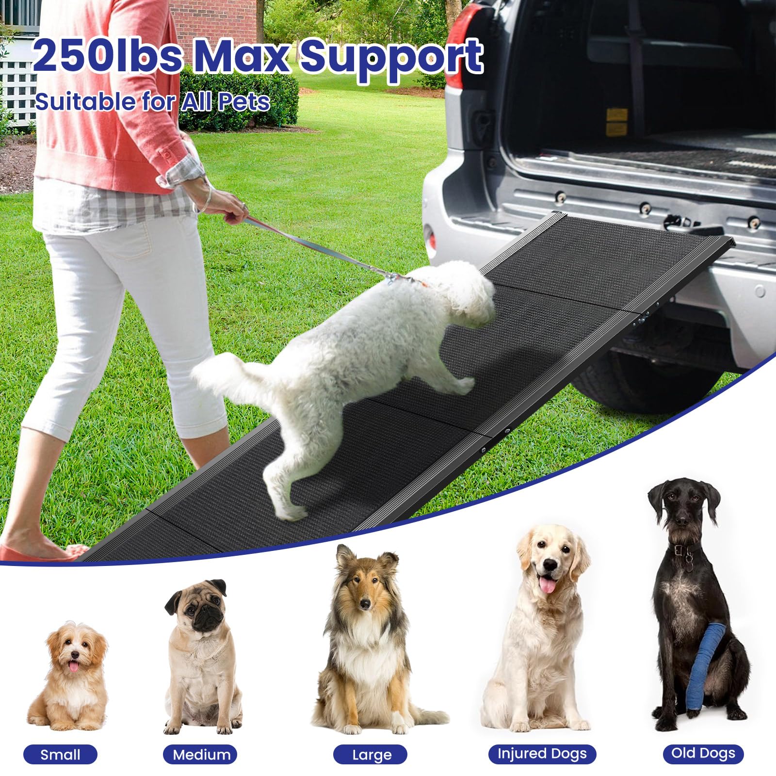 JTSIOV dog ramp capacity up to 250 lbs highlights durability