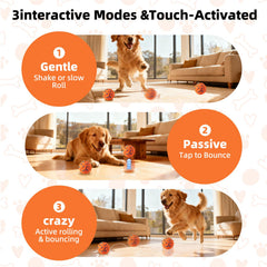 JUBBPDX Interactive Dog Ball demonstrates frenzy mode for high-energy chases.
