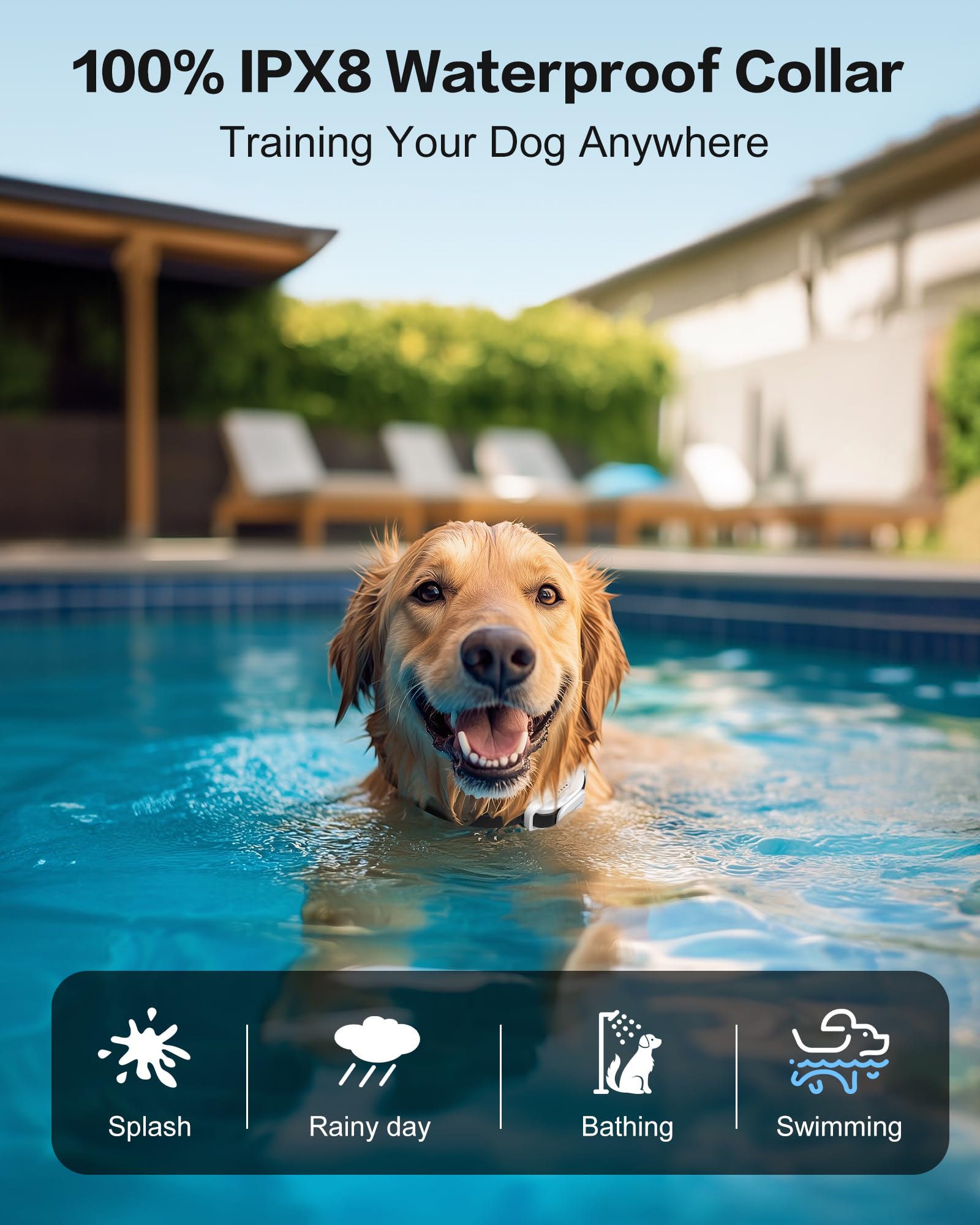 Jugbow IPX8 waterproof collar for all-weather training.