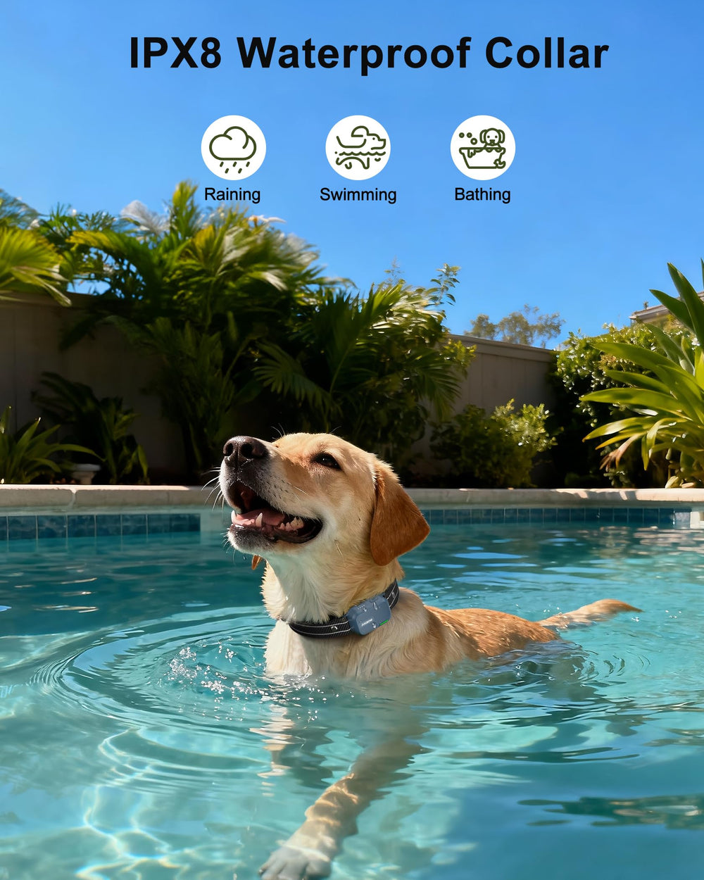 Jugbow collar range test demonstrates up to 4200 feet for off-leash training.