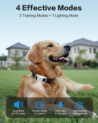 Jugbow remote for two-dog training with memory function.