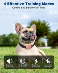 Jugbow remote hand unit beside collar for precise training adjustments