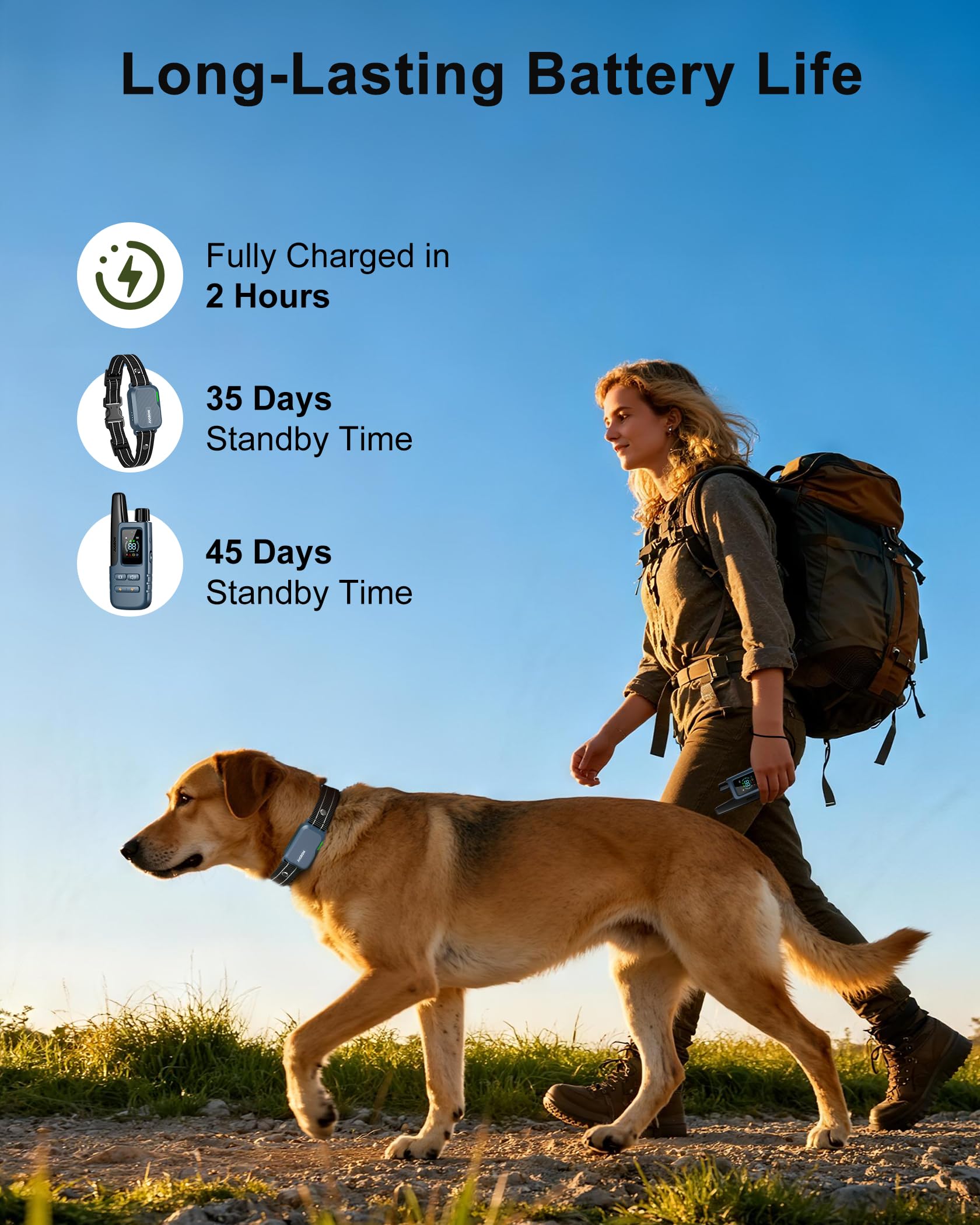 Jugbow system enables training two dogs with a single remote in a multi-dog household.