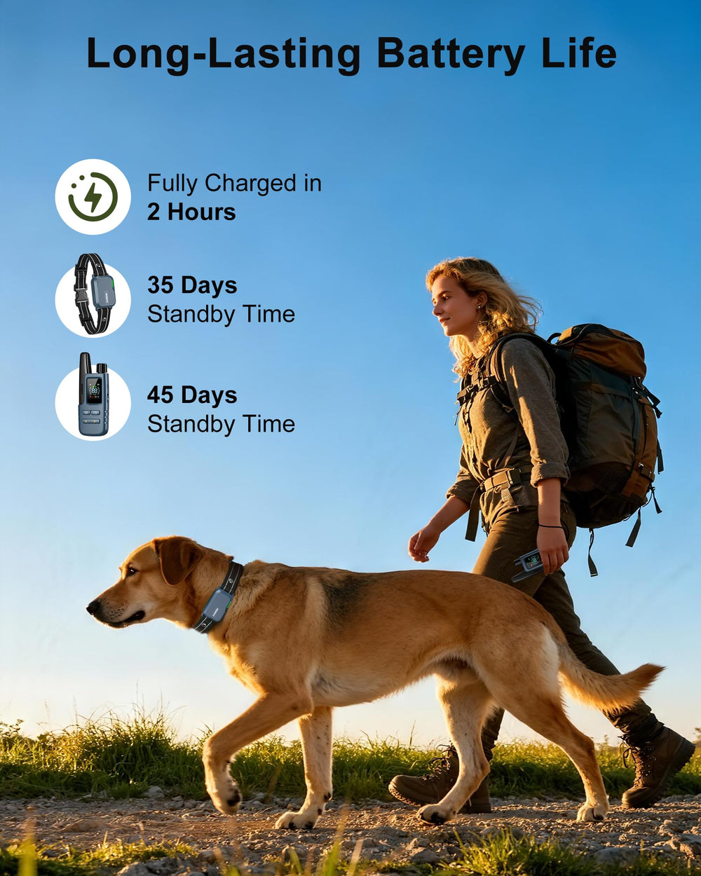 Jugbow system enables training two dogs with a single remote in a multi-dog household.