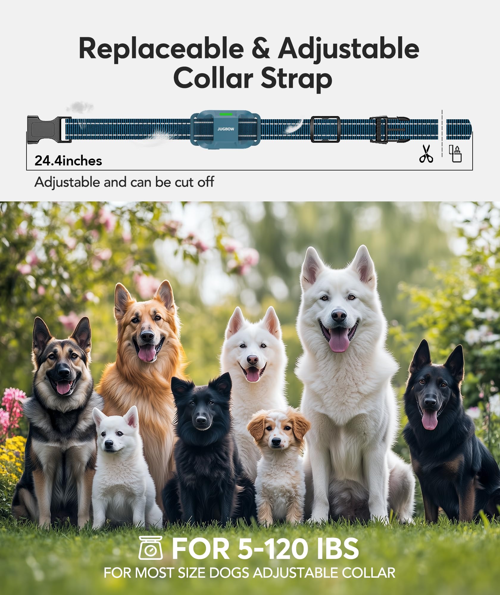 Jugbow dual-channel system trains two dogs with one remote.