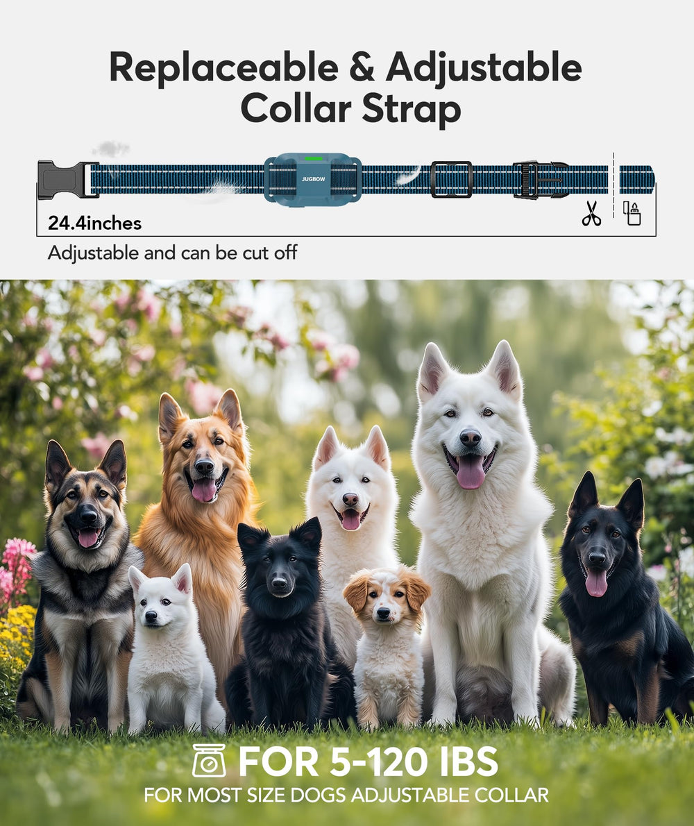 Jugbow dual-channel system trains two dogs with one remote.