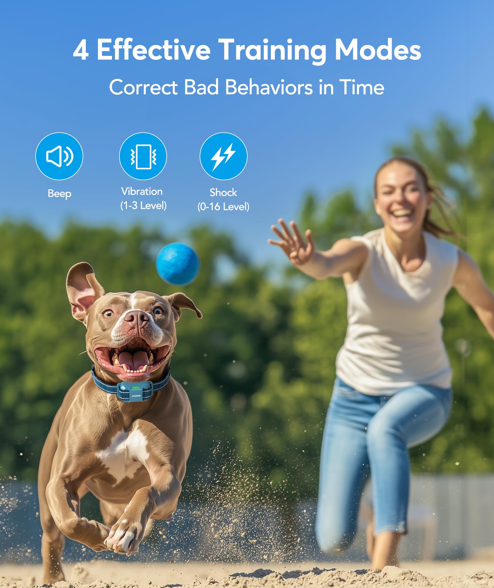 Jugbow shock collar receiver worn on dog enabling long-range training outdoors.