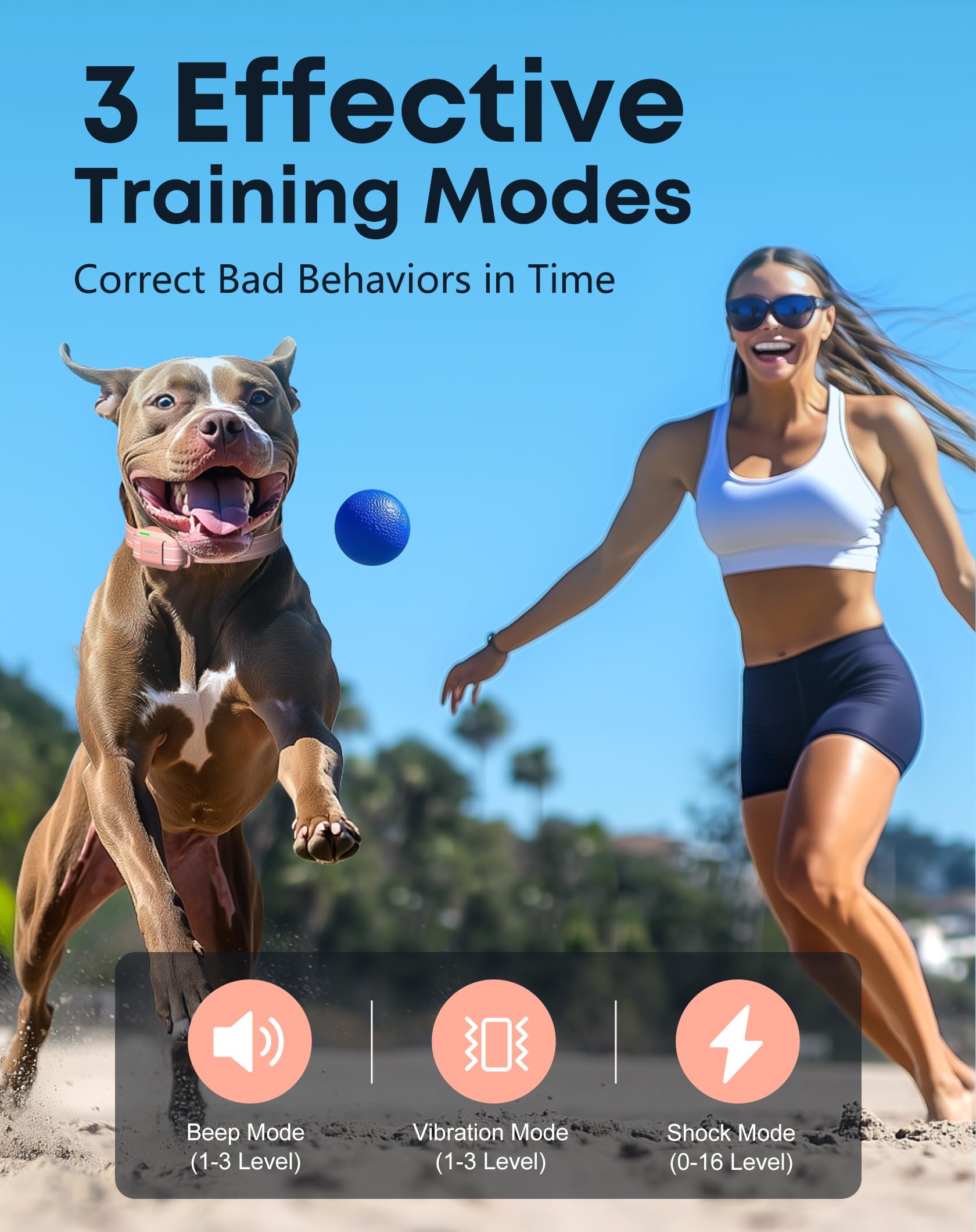 Jugbow dog training collar with 2-channel setup for two dogs