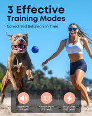 Jugbow dog training collar with 2-channel setup for two dogs