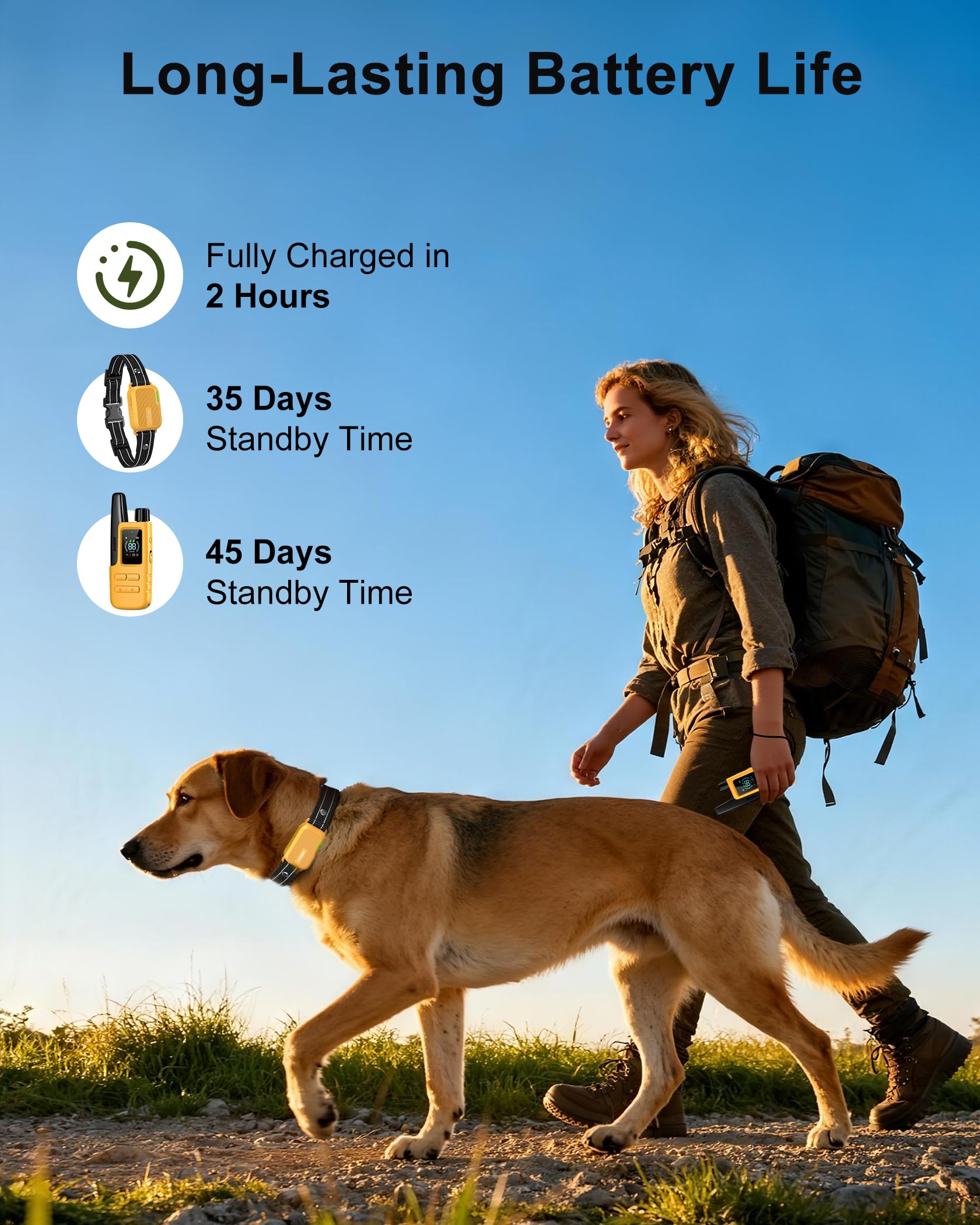 Jugbow dual-dog training remote switches between dogs easily