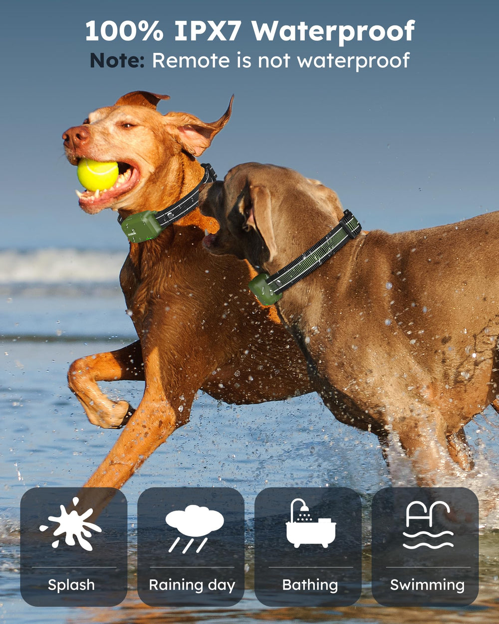 Jugbow IPX7 waterproof receiver keeps training ready in rain, backyard, or beach conditions.