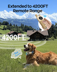 Jugbow LED light on the collar aids night-time visibility during walks.
