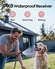Jugbow LED light helps visibility during evening or dawn walks.