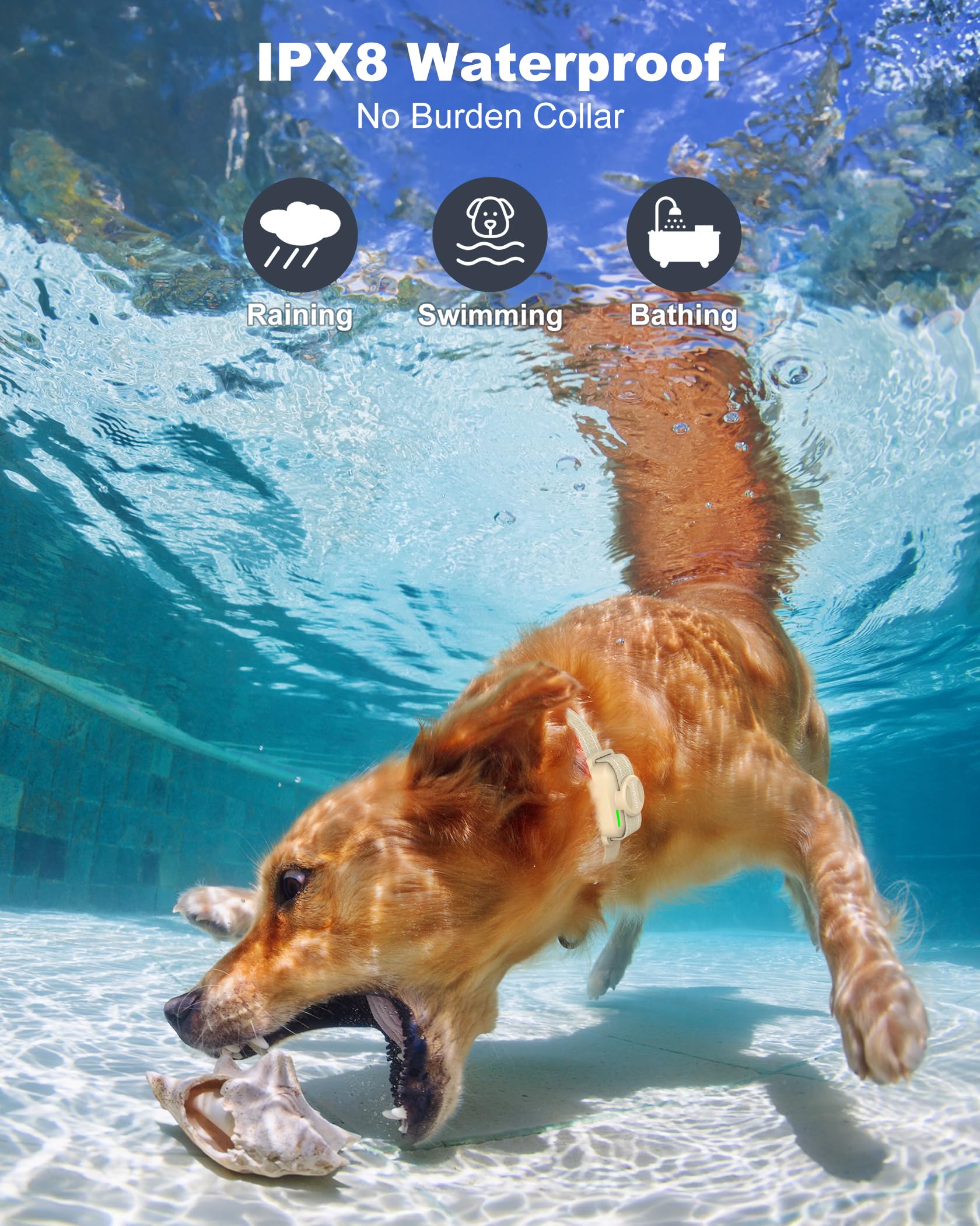 Jugbow rechargeable IPX8 waterproof collar ready for water play and rain