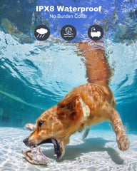 Jugbow rechargeable IPX8 waterproof collar ready for water play and rain