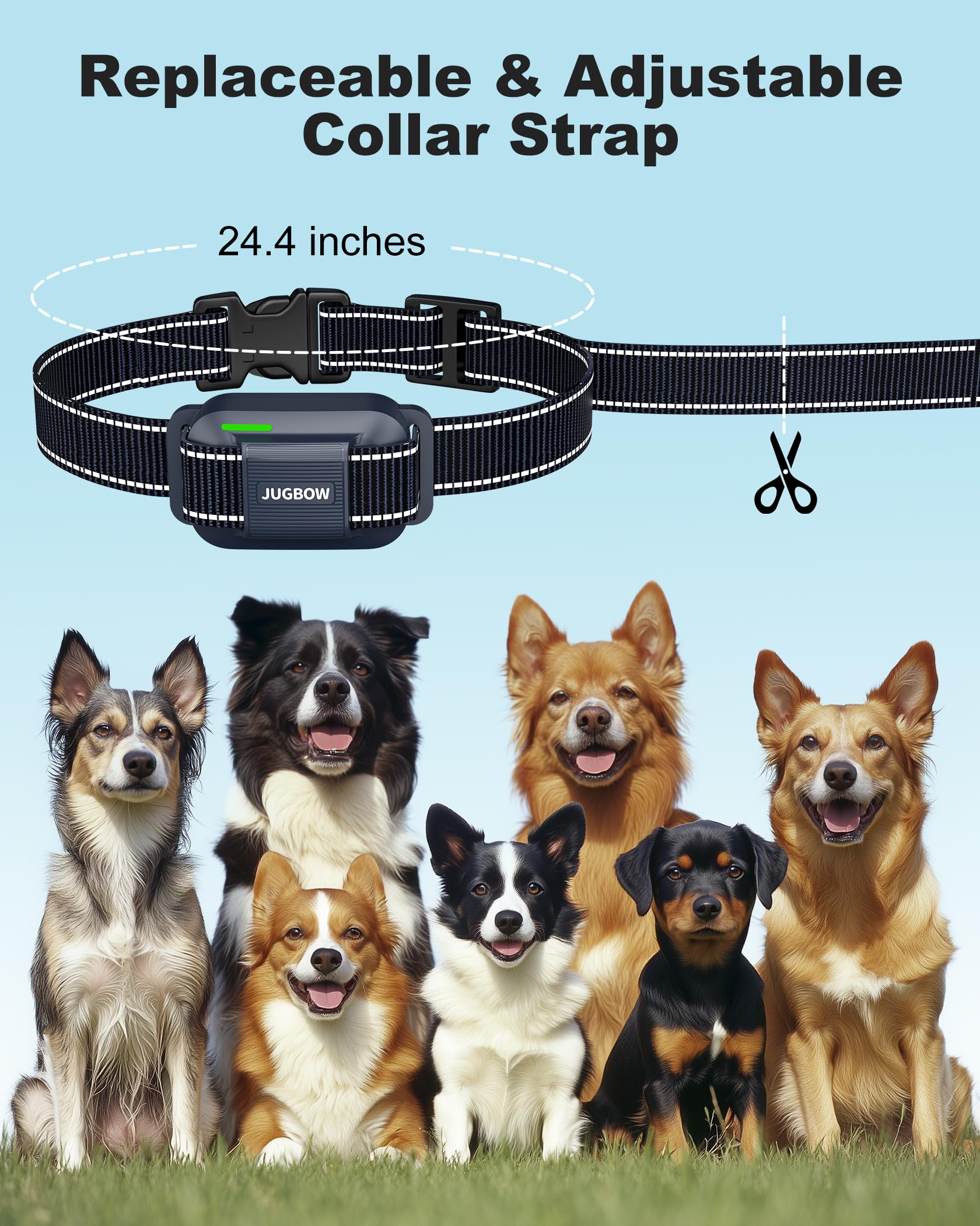 Jugbow remote supports dual-channel training for two dogs.