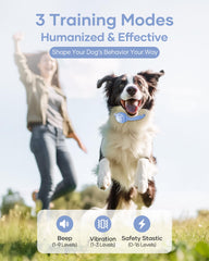 Jugbow beep, vibration, and safe-shock options provide humane feedback during sessions.