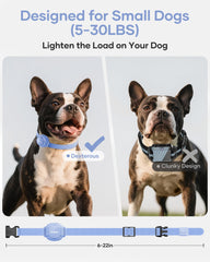 Jugbow Shock Collar remote enables multi-dog training with easy channel switching.