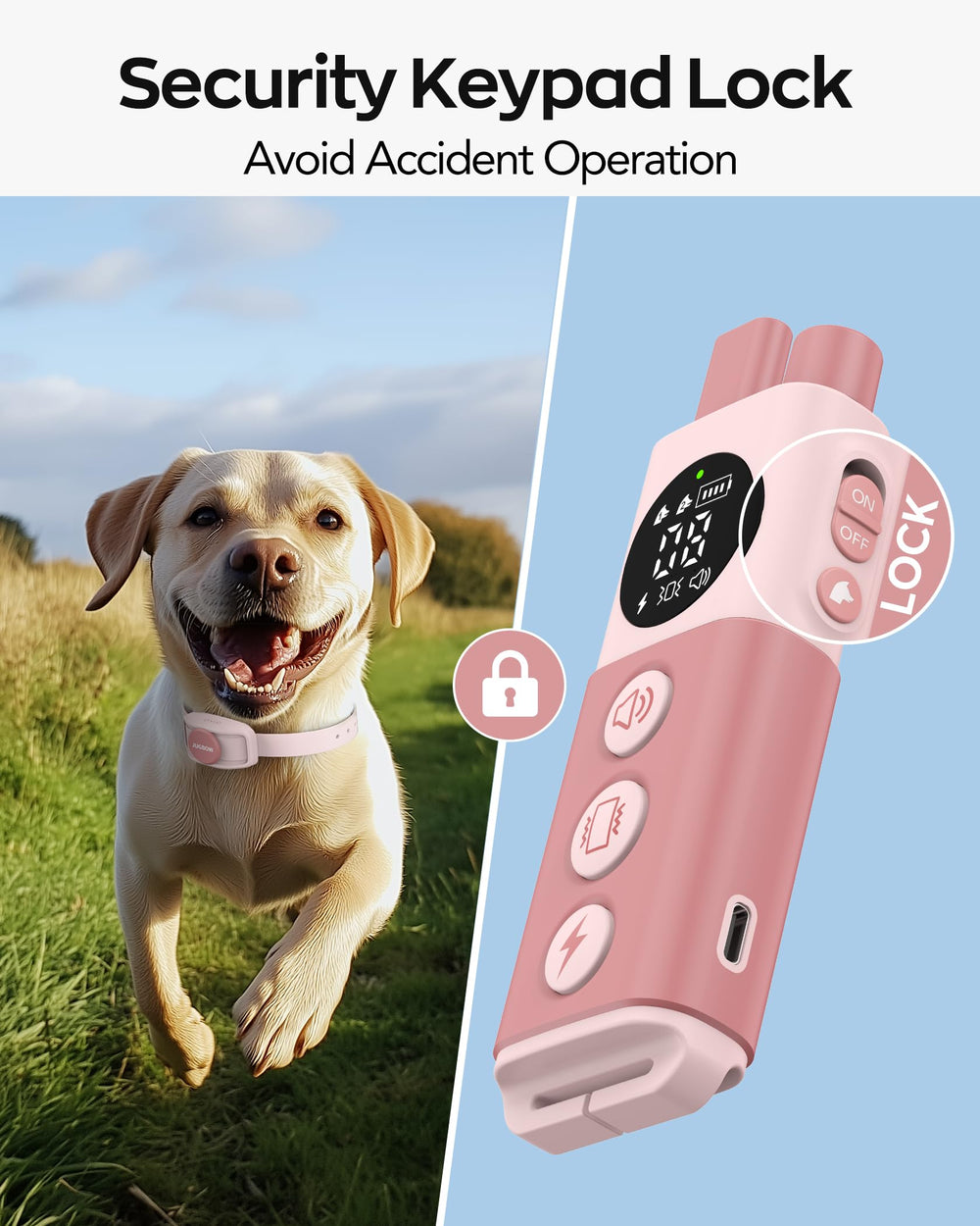 Jugbow two-channel remote training allows training two dogs simultaneously.
