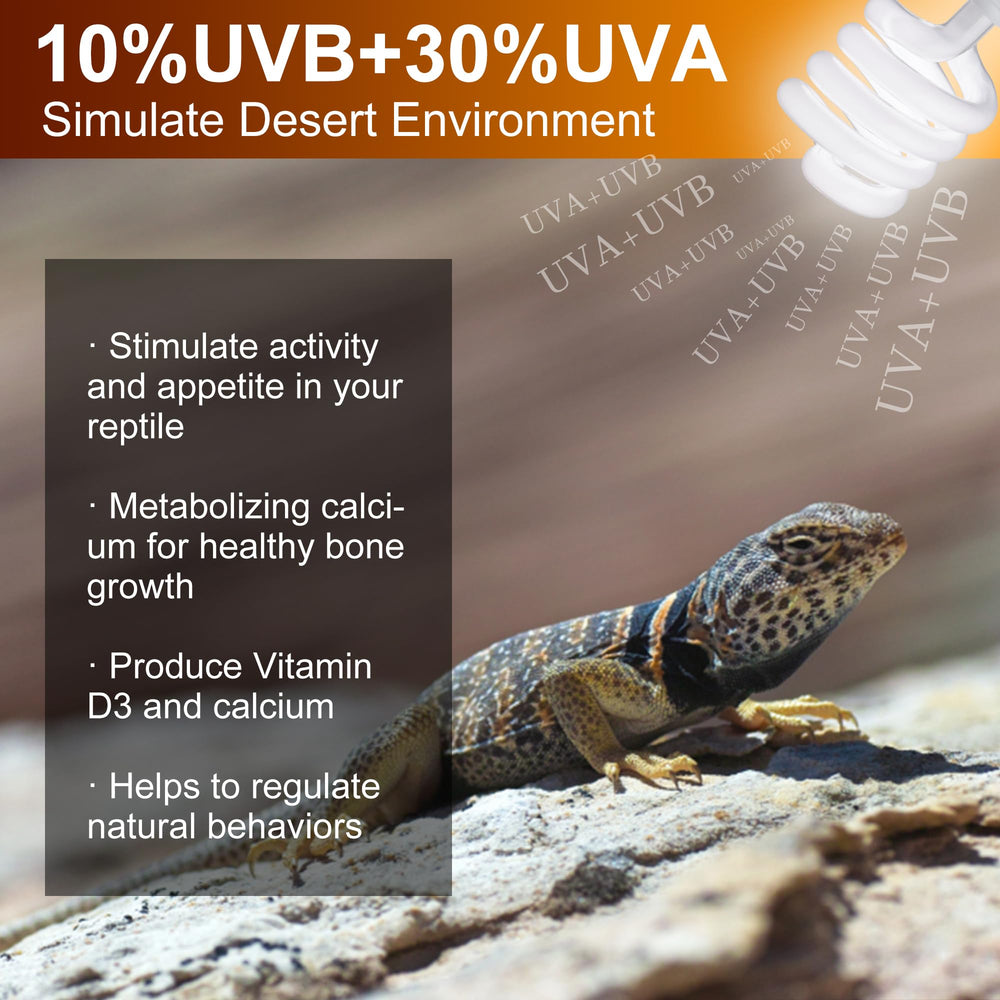 Jugbuy UVB Reptile Light Bulb 10.0 over terrarium supports natural behaviors with UVA light