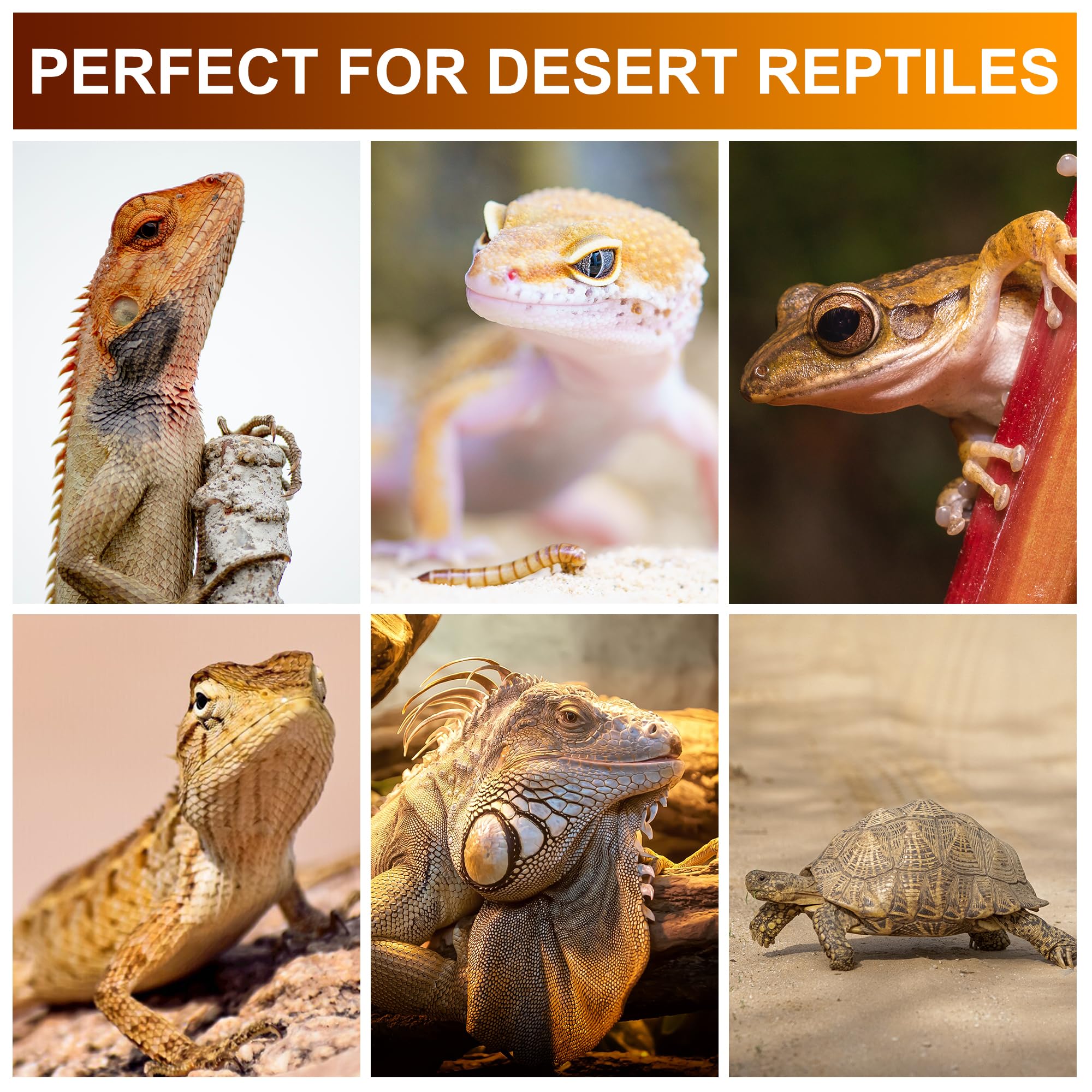 Jugbuy UVB Reptile Light Bulb 10.0 offers long-lasting lighting in reptile habitats