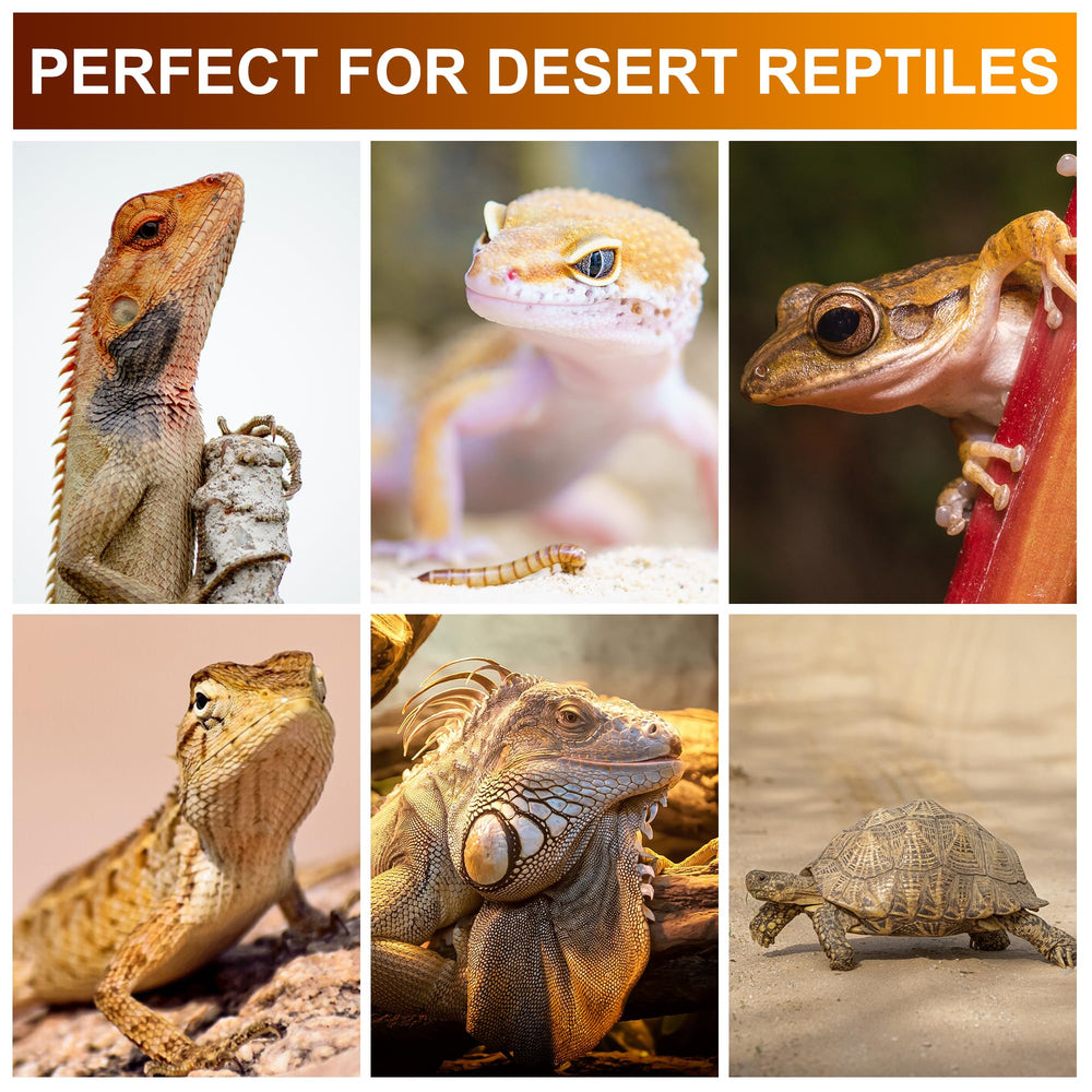 Jugbuy UVB Reptile Light Bulb 10.0 offers long-lasting lighting in reptile habitats