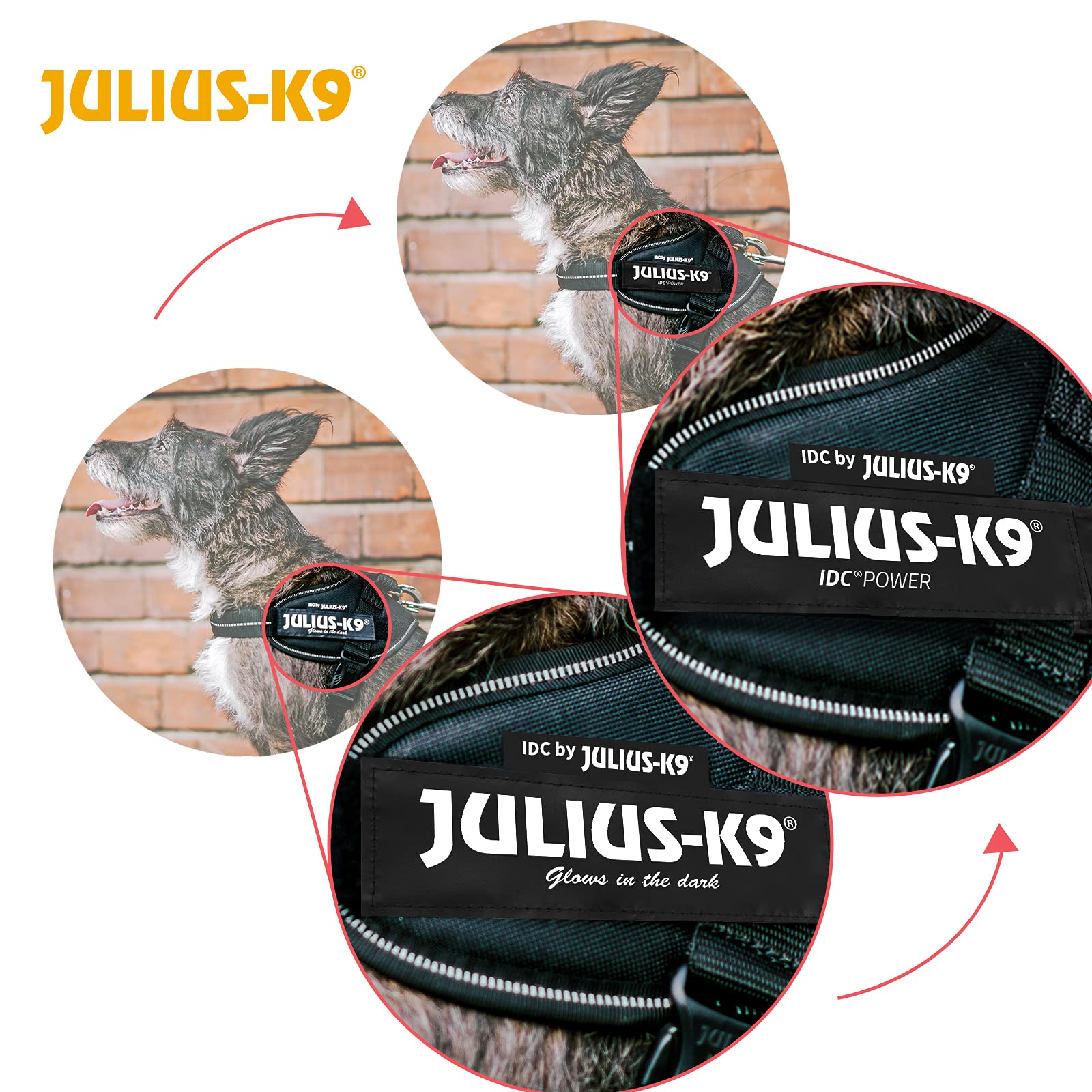 Julius-K9 IDC Powerharness closed handle improves control during activities.