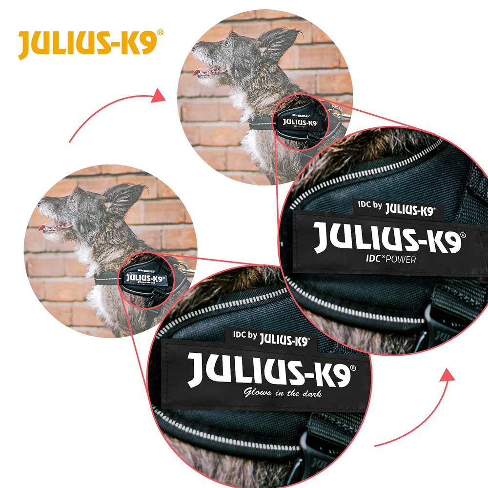Julius-K9 IDC Powerharness water-repellent cover protects during wet weather.