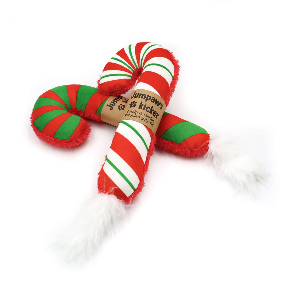 Jumpaws indoor cat play catnip toy promoting bonding and activity
