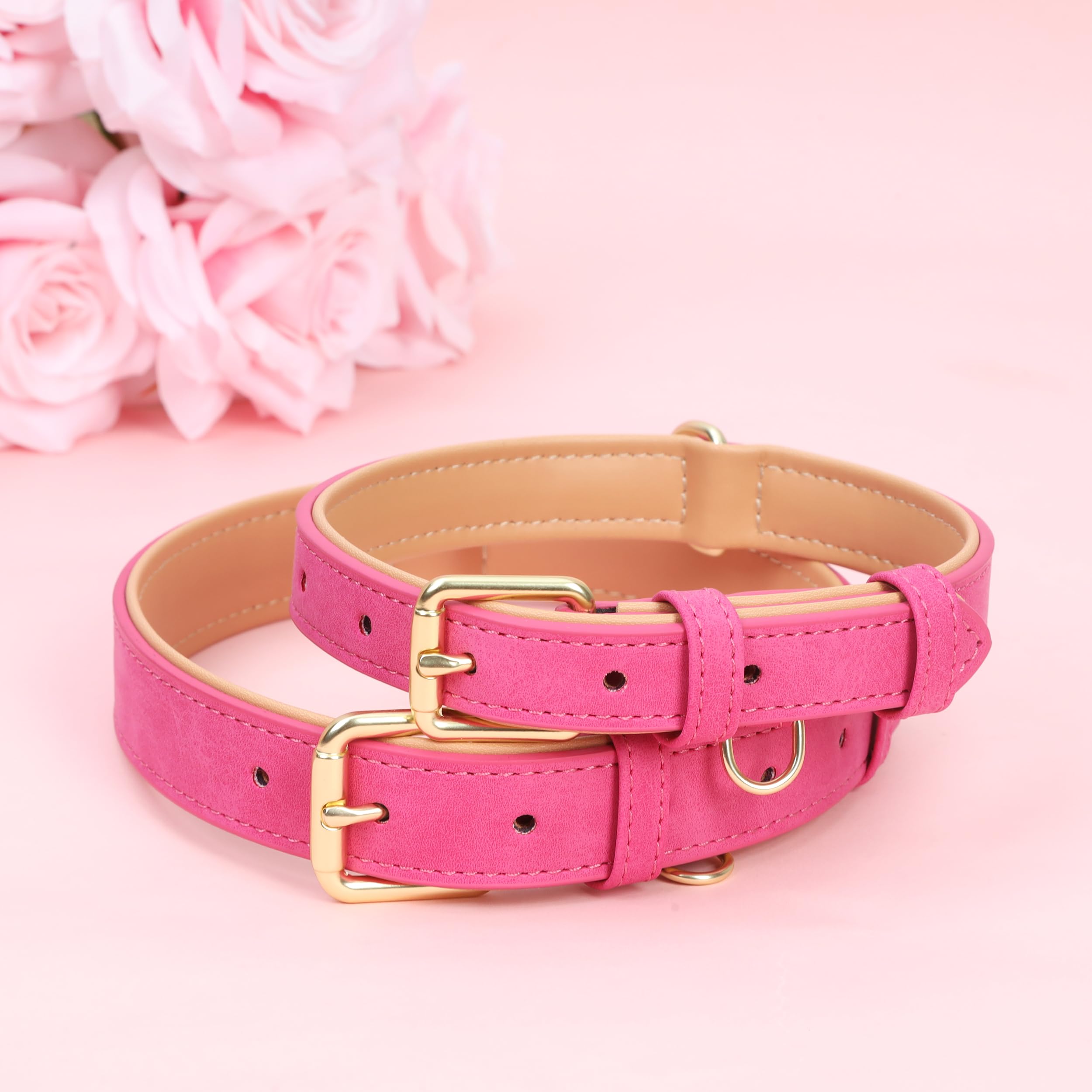Collar Jumpress talla M para perros medianos, ajuste cómodo.