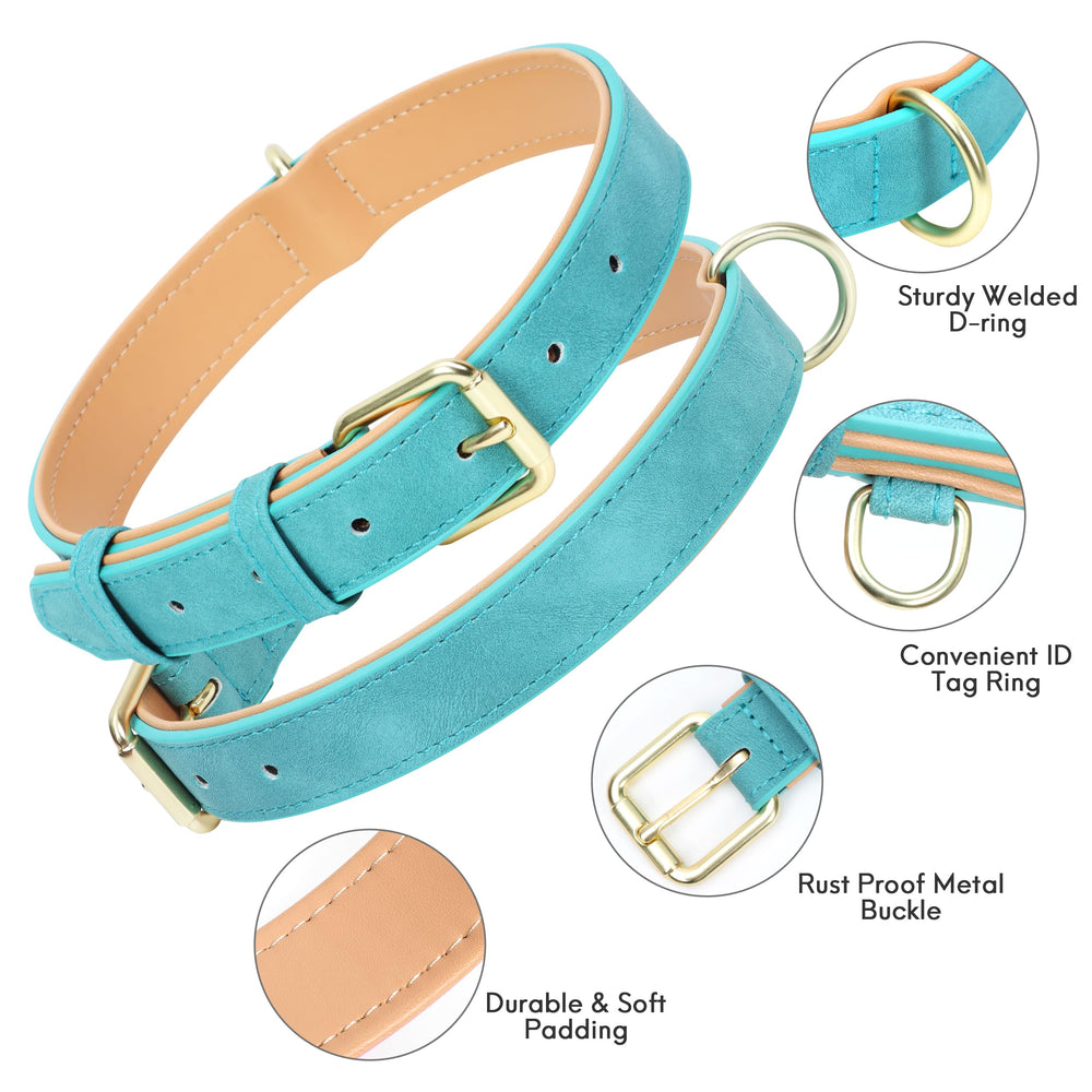 Jumpress collar with D-ring and tag ring for easy ID and leash use