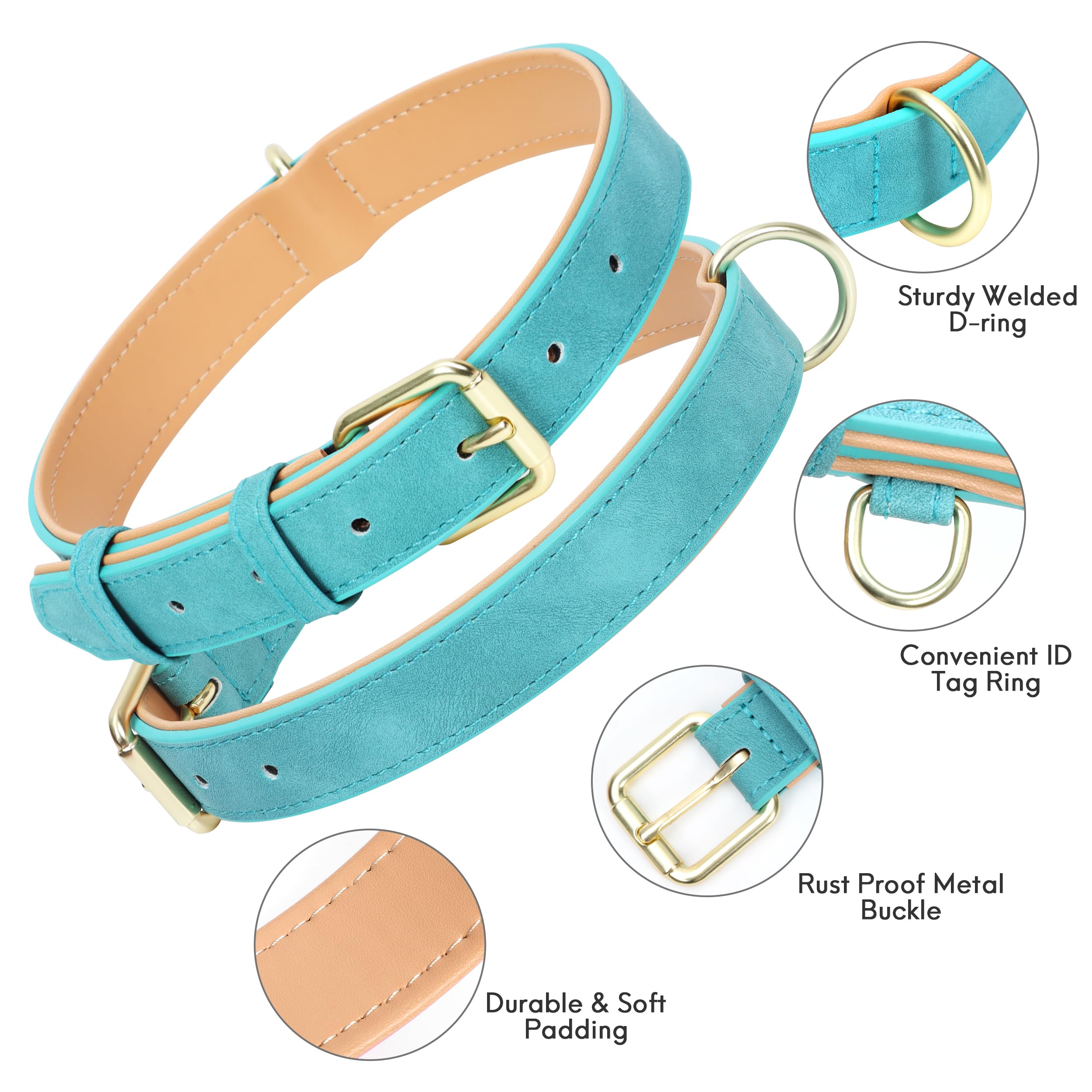 Jumpress teal buckle detail on small collar highlights durable construction.